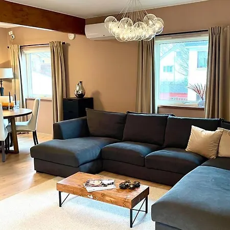 Family Twinhouse 别墅 斯塔万格